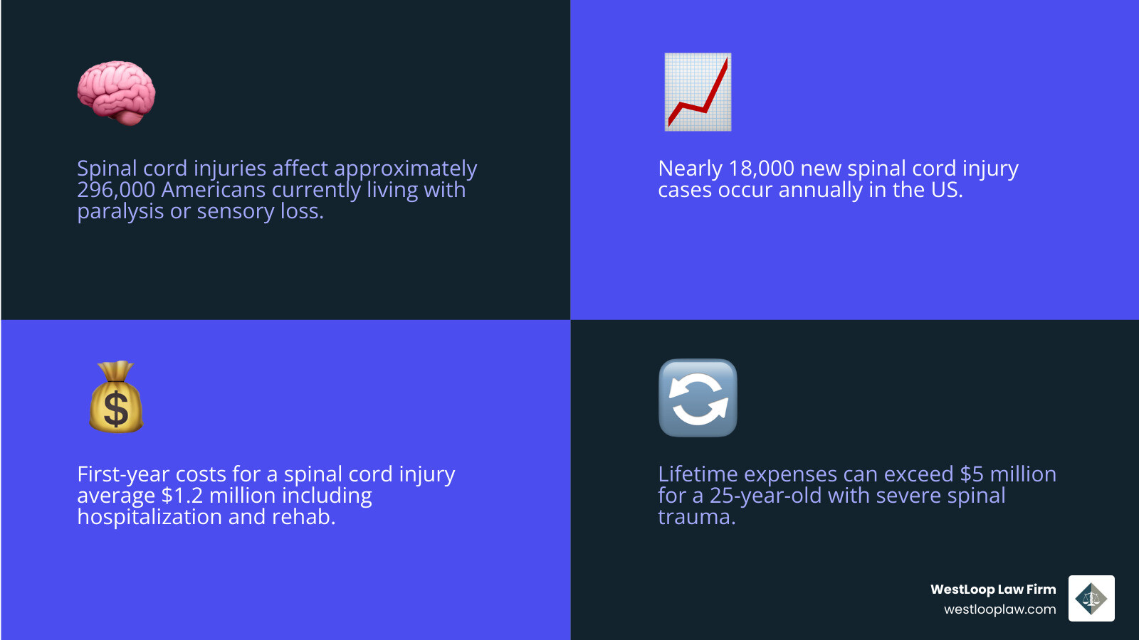 Infographic showing spinal column anatomy, vertebrae levels, injury types, and compensation categories for Houston spinal Infographic showing spinal column anatomy, vertebrae levels, injury types, and compensation categories for Houston spinal