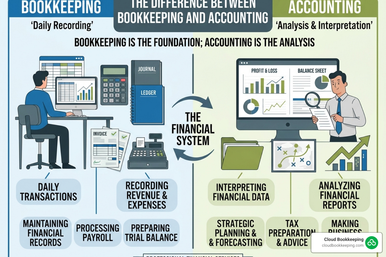 Professional accountant in San Antonio analyzing a detailed balance sheet on a laptop screen - difference between