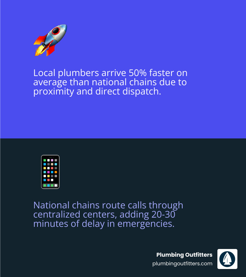 Infographic comparing local plumber benefits vs national chain drawbacks for homeowners - why choose a local plumber over a Infographic comparing local plumber benefits vs national chain drawbacks for homeowners - why choose a local plumber over a