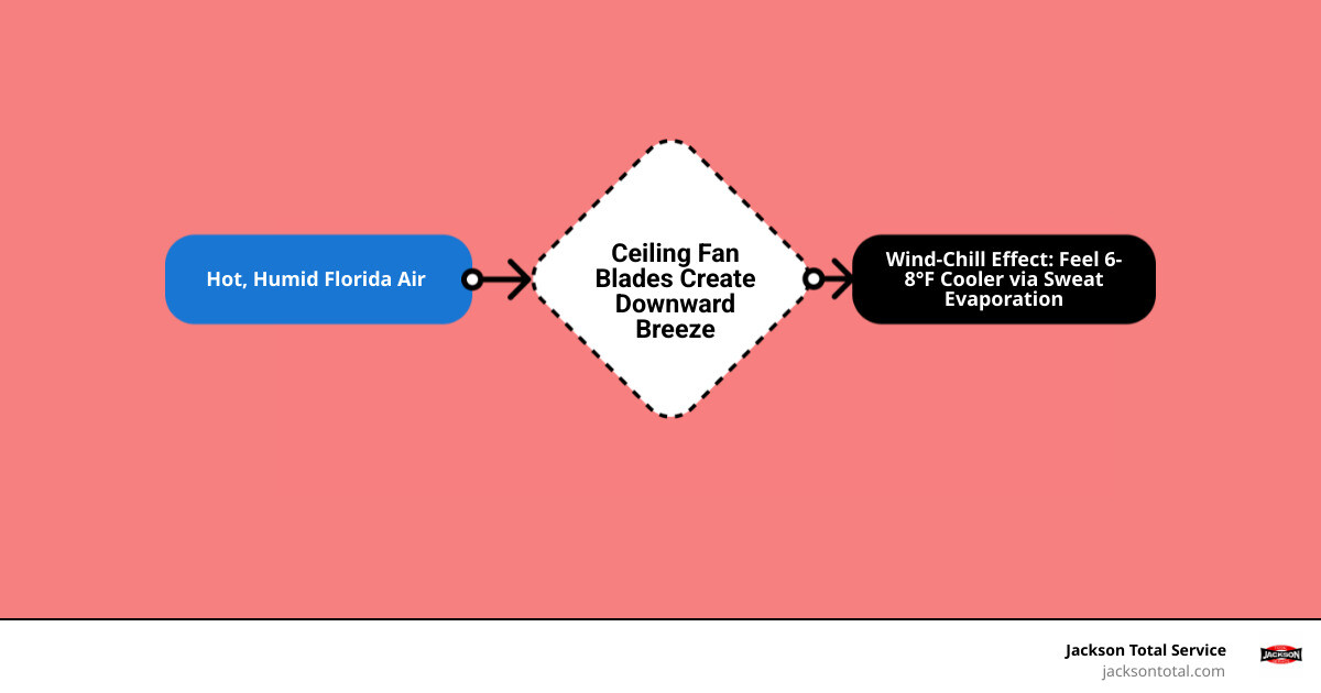 Infographic showing ceiling fan wind-chill effect, thermostat savings, energy use comparison, and year-round blade direction