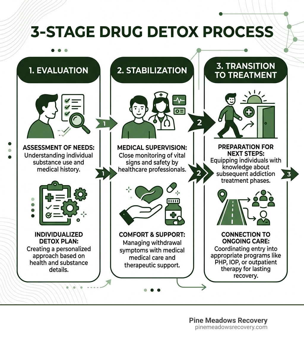 Infographic showing the 3-stage detox process: Evaluation, Stabilization, and Transition to treatment - Drug Detox Options Infographic showing the 3-stage detox process: Evaluation, Stabilization, and Transition to treatment - Drug Detox Options
