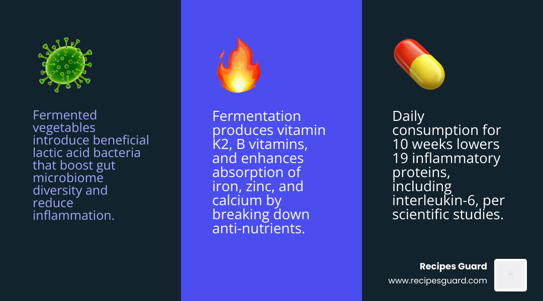 Infographic showing fermented vegetables benefits from gut health to inflammation reduction and vitamins - fermented