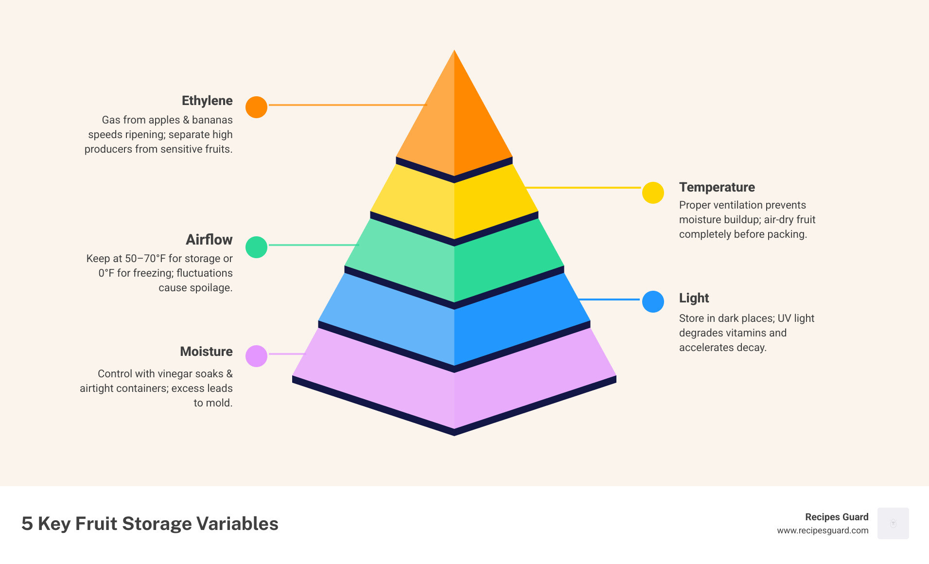 Infographic showing 5 key variables of fruit storage: ethylene, temperature, airflow, light, and moisture - how to preserve