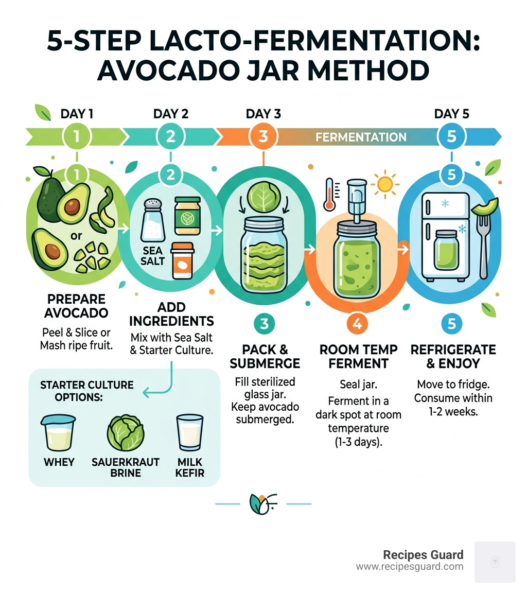 Infographic showing 5-step lacto-fermentation process for avocados in a jar with timeline and starter culture options