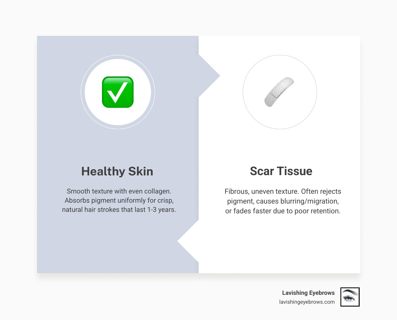 infographic showing scar tissue vs healthy skin pigment retention and microblading suitability criteria - Microblading for