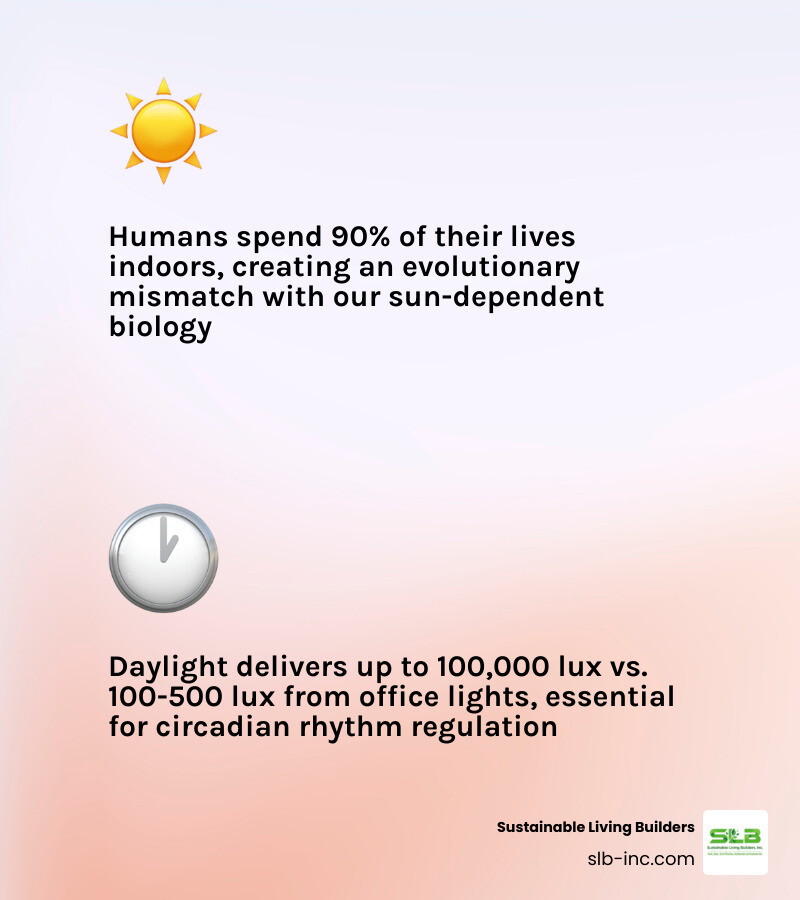 Infographic showing the 24-hour circadian rhythm cycle and how natural light exposure affects the body - how natural light