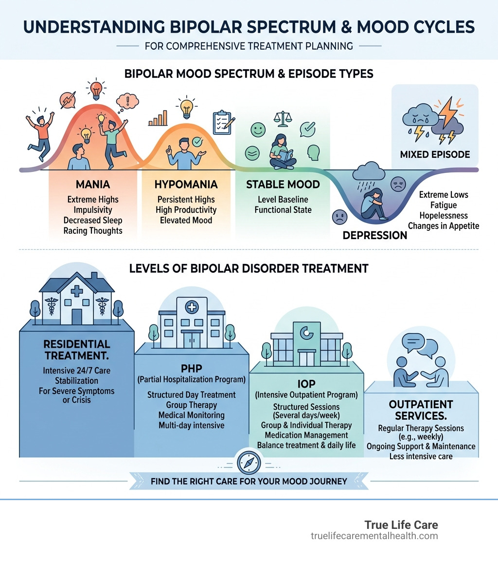 Bipolar spectrum and mood cycles infographic showing episode types and treatment levels - Bipolar Disorder Treatment