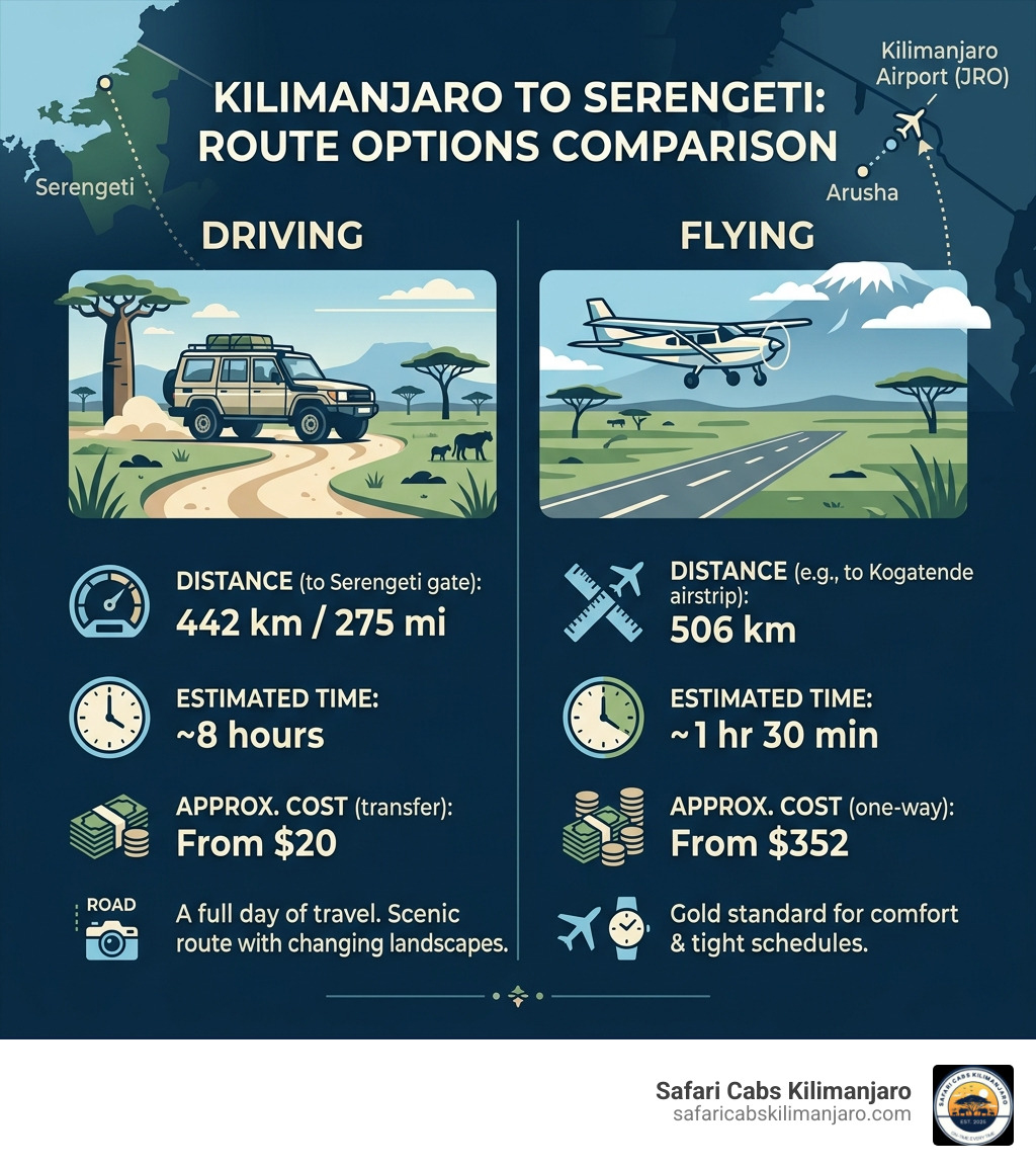 infographic showing kilimanjaro to serengeti route options flying vs driving distance time cost comparison - kilimanjaro to