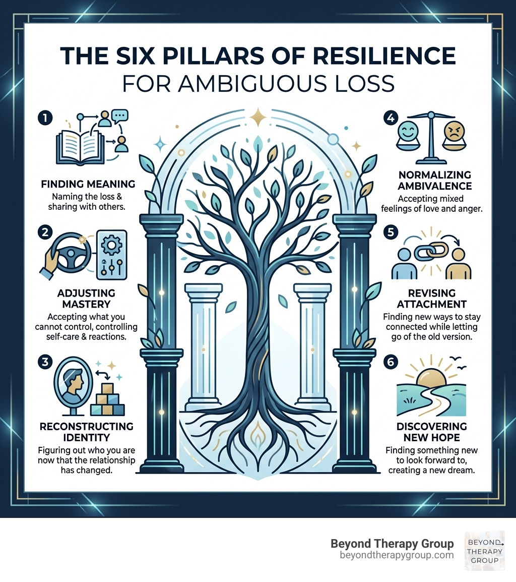 The six pillars of resilience for managing ambiguous loss - ambiguous loss therapy south infographic The six pillars of resilience for managing ambiguous loss - ambiguous loss therapy south infographic