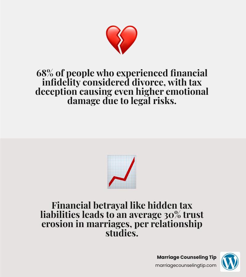 Statistics on financial deception impact infographic - tax infidelity counseling advice infographic 2_facts_emoji_grey