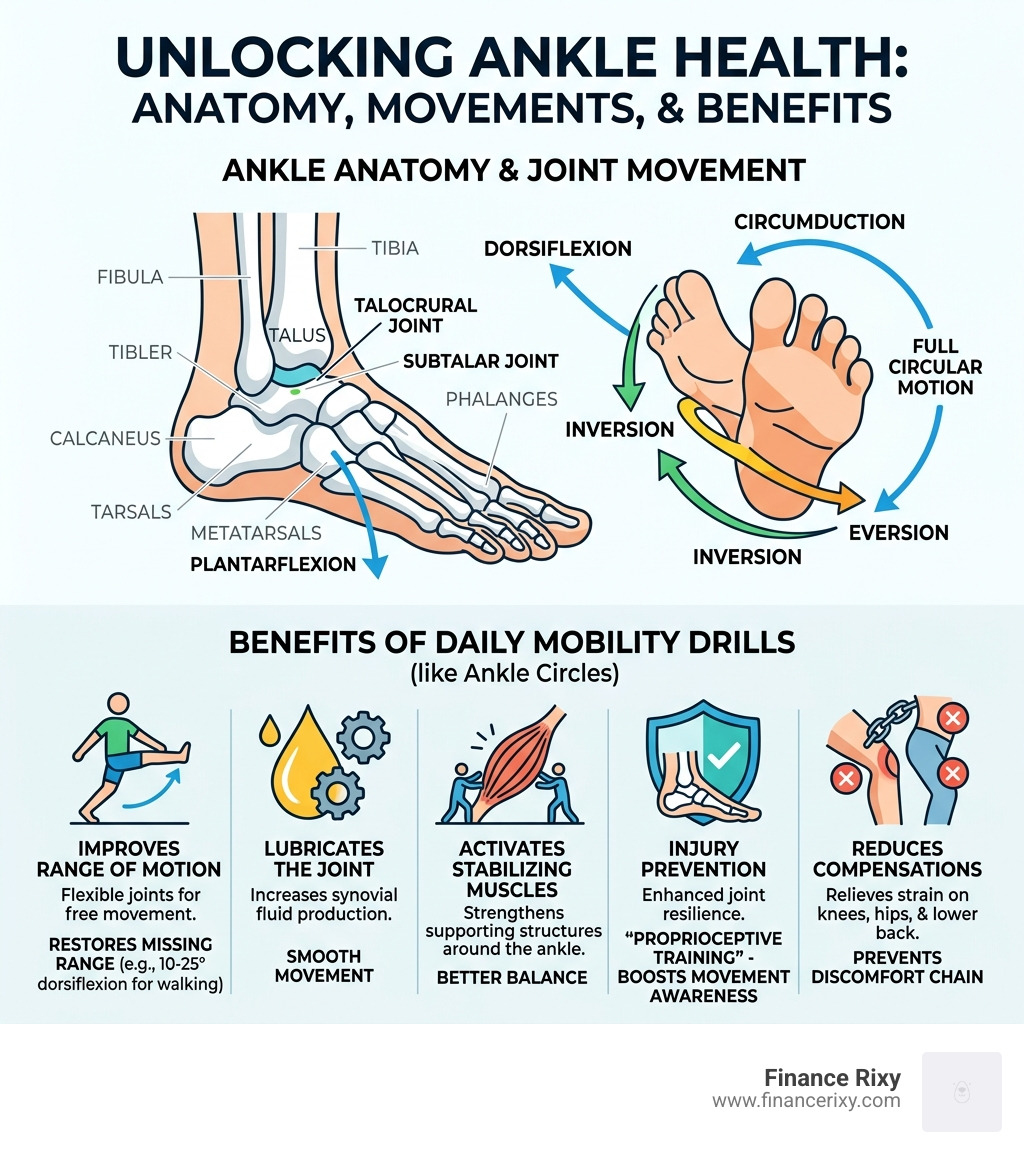 ankle anatomy diagram showing joint movement and benefits of daily mobility drills - ankle circles mobility drill