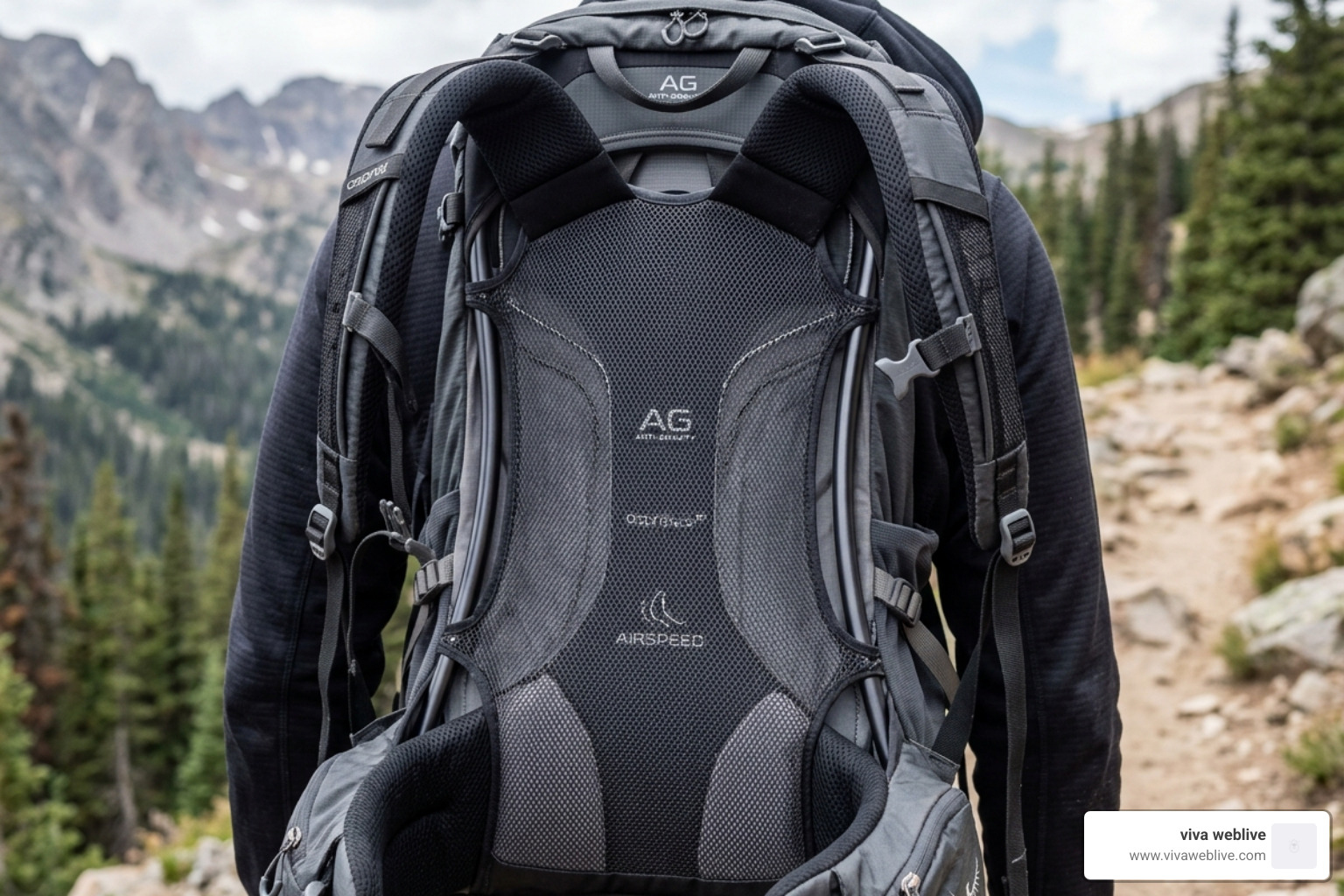 A close-up of a ventilated trampoline back panel showing the mesh tension and air gap - best day trip backpack