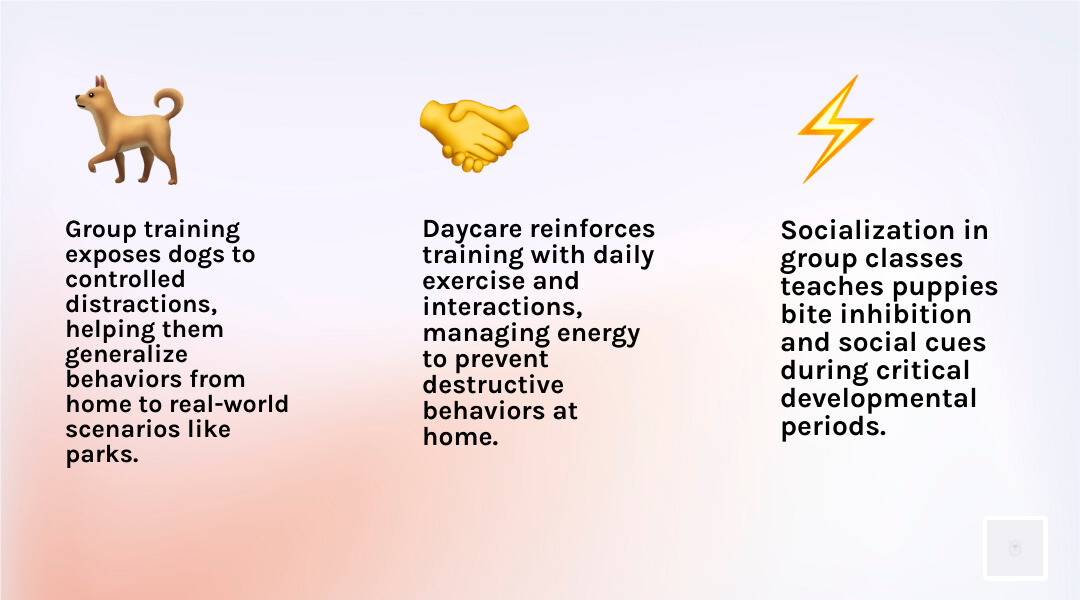 synergy between structured learning and social play - group dog training classes infographic 3_facts_emoji_light-gradient
