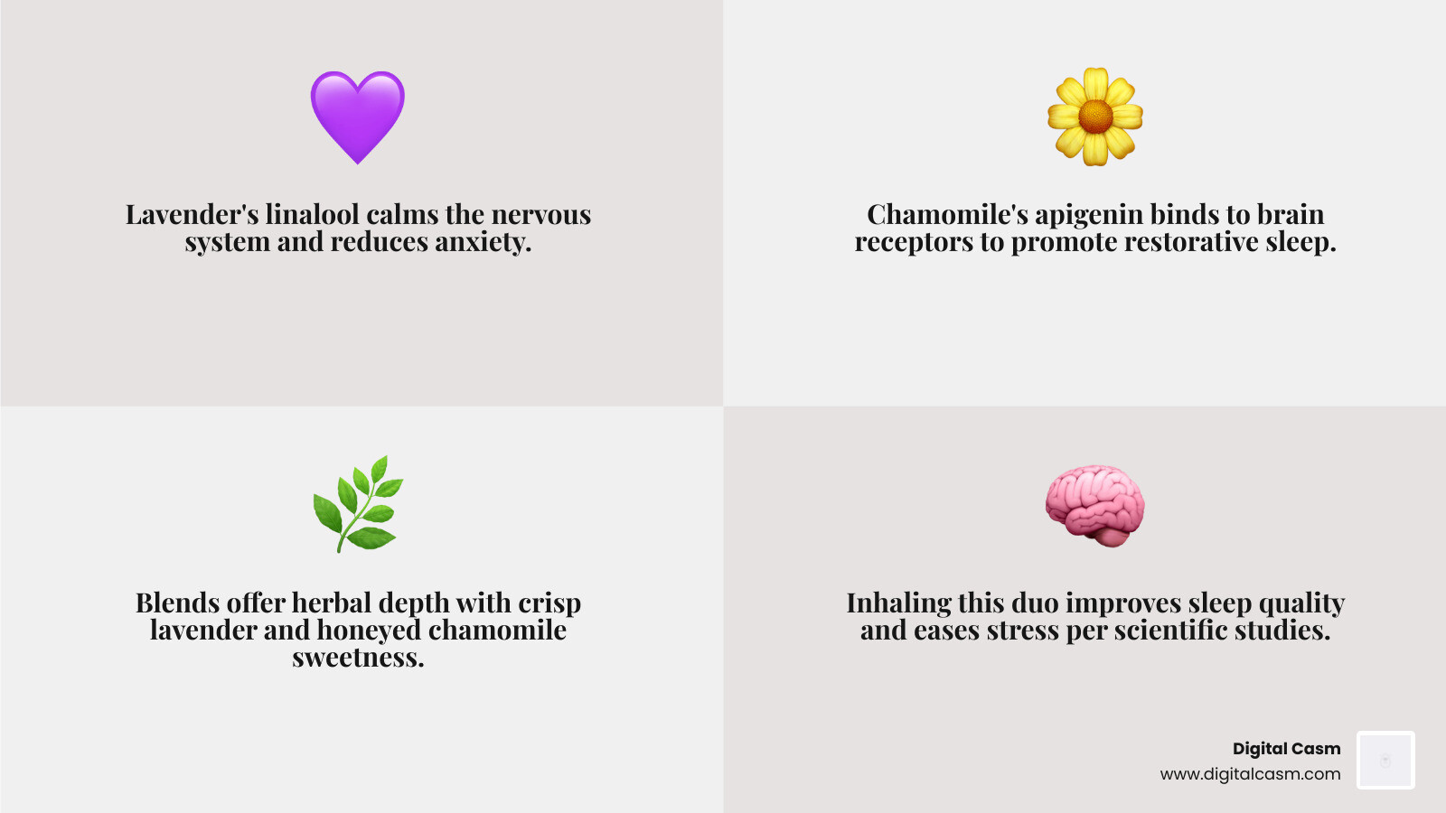 Infographic showing lavender and chamomile scent benefits, notes, and product types - lavender and chamomile scent