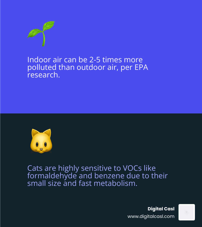 Infographic showing cat-safe air-purifying plants and the toxins they remove through phytoremediation - air cleaning plants