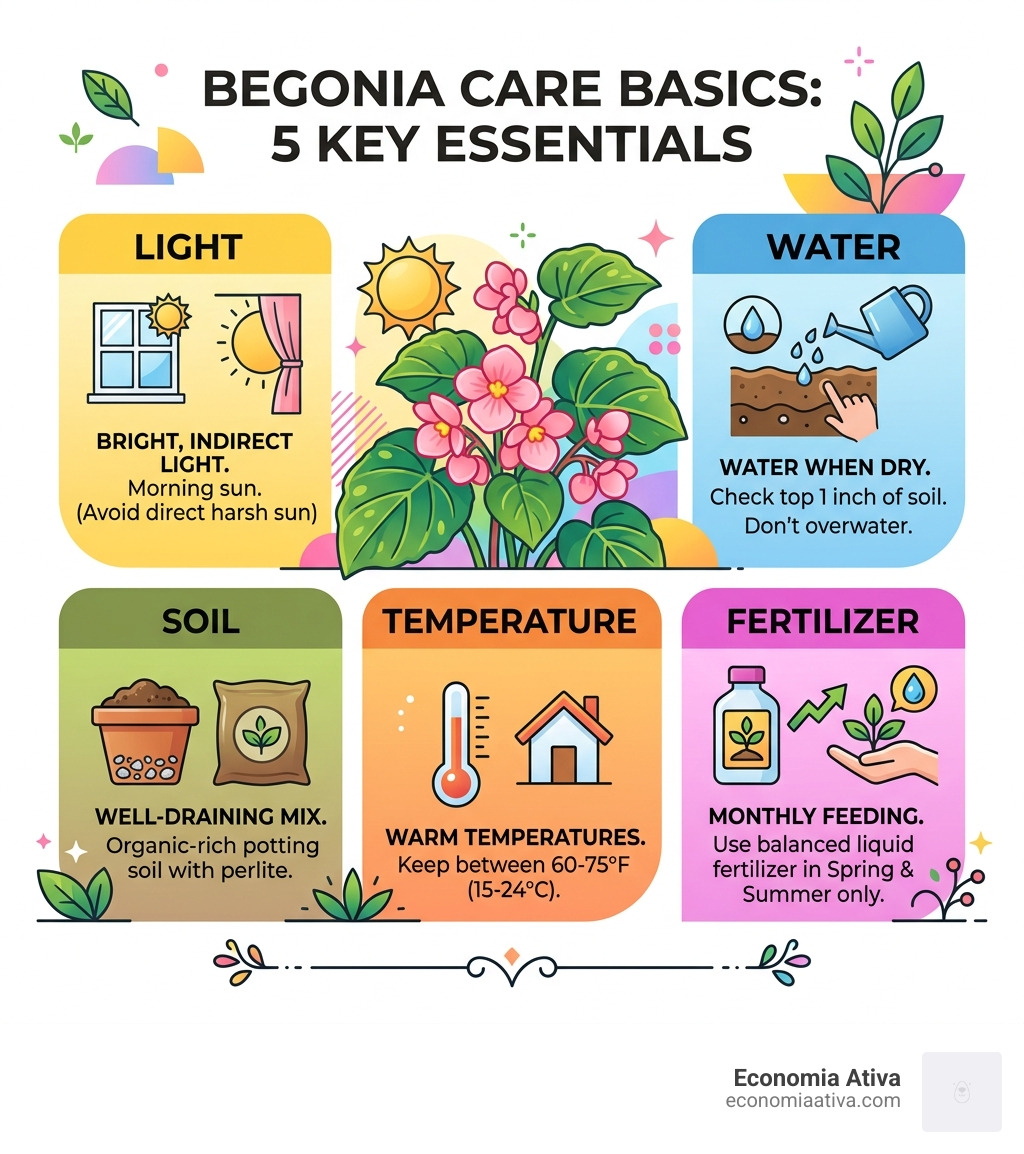 Begonia care basics infographic showing light, water, soil, temperature, and fertilizer needs - begonia care tips
