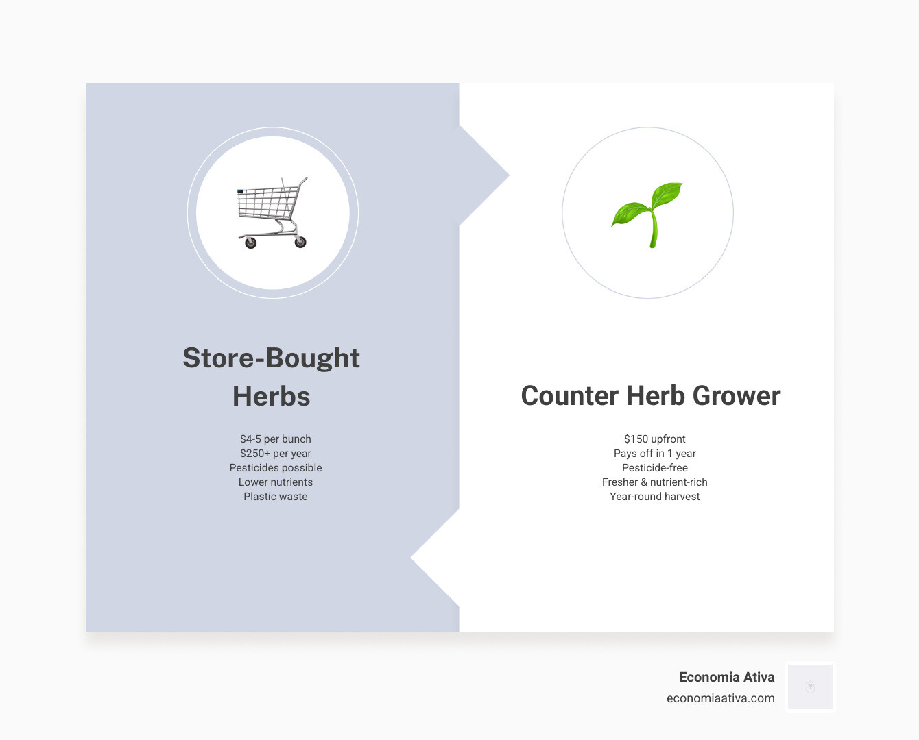 Infographic summarizing the financial benefits of home herb growing vs store bought over 12 months - counter herb grower