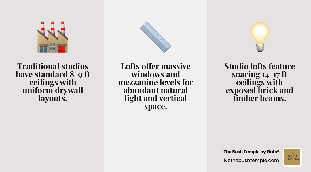 Comparison of Industrial Lofts versus Soft Lofts - studio lofts chicago infographic 3_facts_emoji_grey