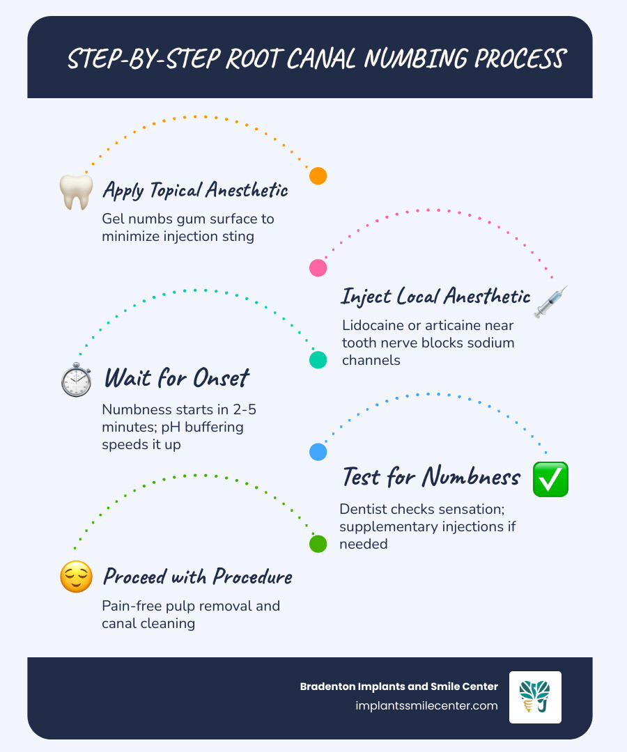 Step-by-step root canal numbing process infographic with anesthetic types and injection sites - local anesthesia root canal Step-by-step root canal numbing process infographic with anesthetic types and injection sites - local anesthesia root canal