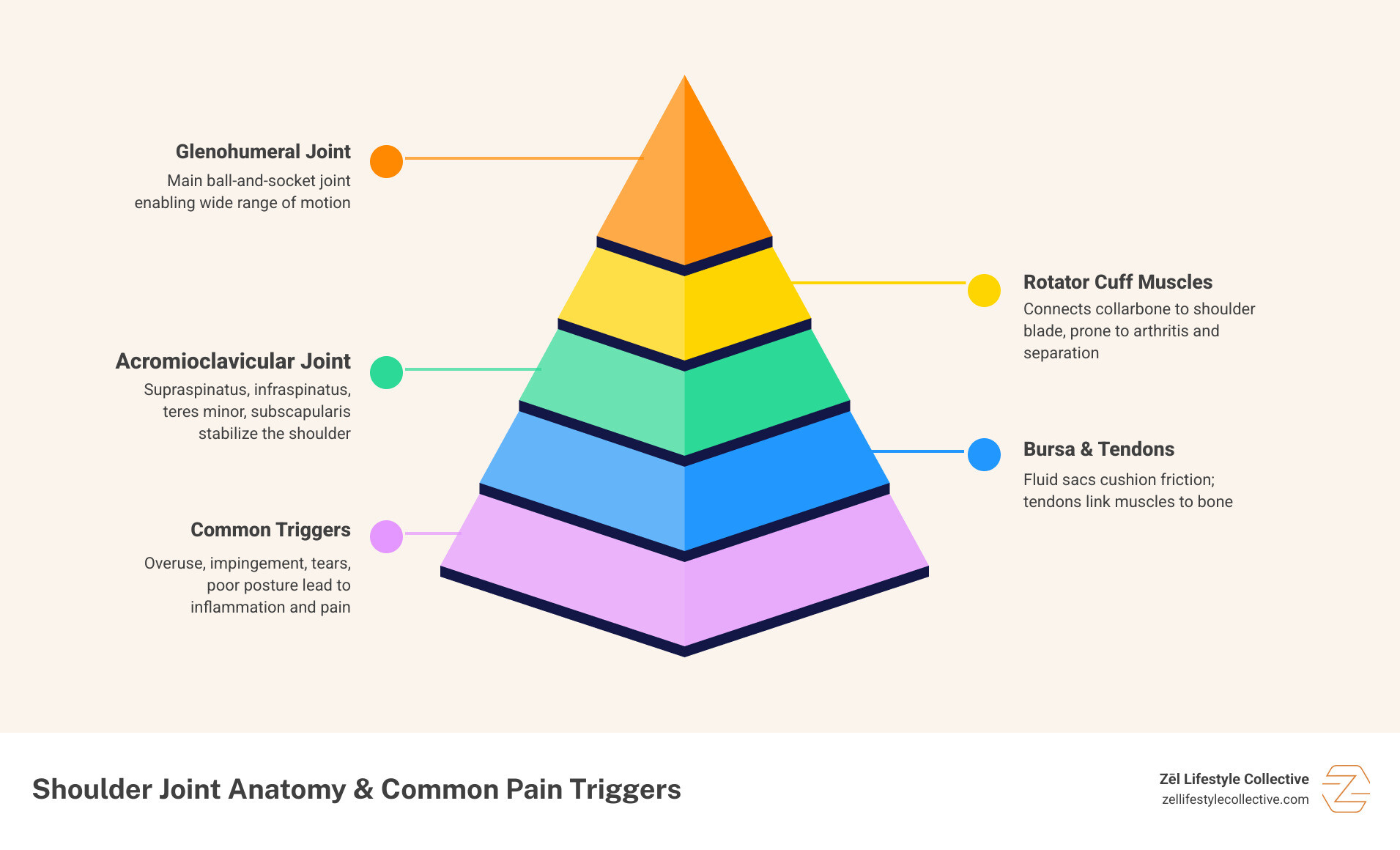 Shoulder joint anatomy and common pain triggers infographic - acupuncture shoulder pain infographic pyramid-hierarchy-5-steps Shoulder joint anatomy and common pain triggers infographic - acupuncture shoulder pain infographic pyramid-hierarchy-5-steps
