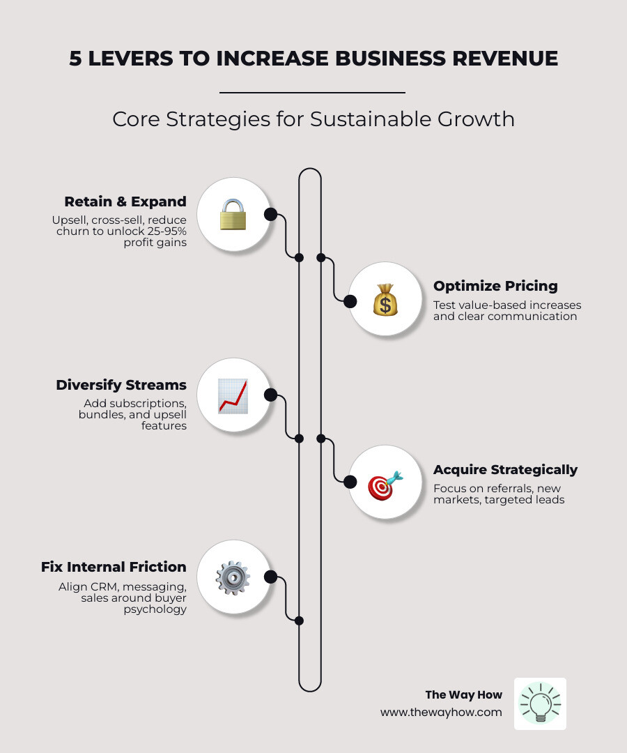 Key levers to increase business revenue: retention, pricing, diversification, acquisition, and systems - Increase business
