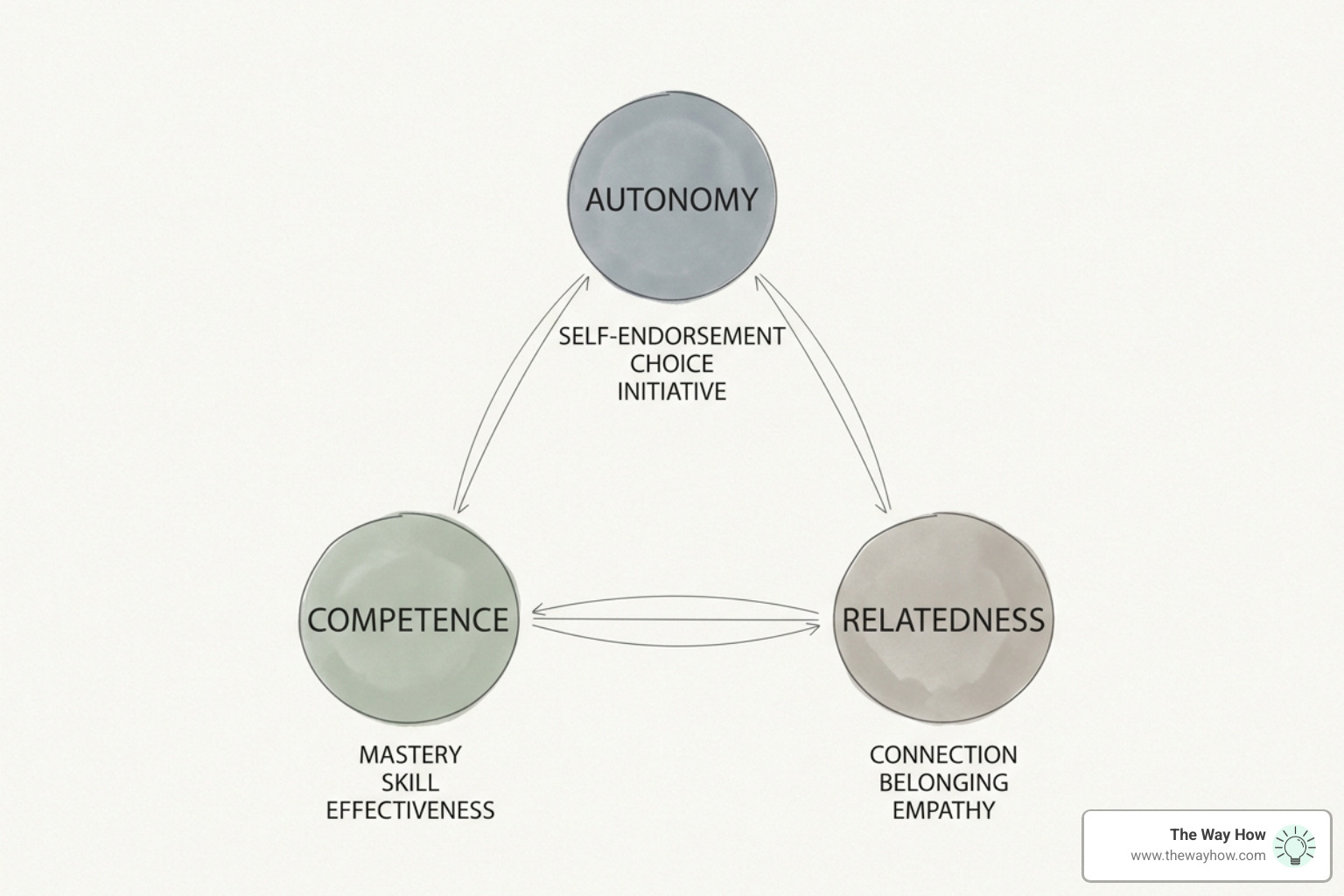 conceptual visual of human behavioral drivers in software usage - product retention strategies