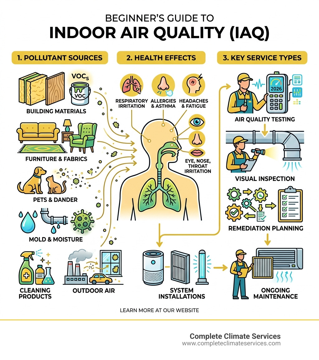 Infographic showing IAQ basics: pollutant sources, health effects, and key service types - indoor air quality services Infographic showing IAQ basics: pollutant sources, health effects, and key service types - indoor air quality services