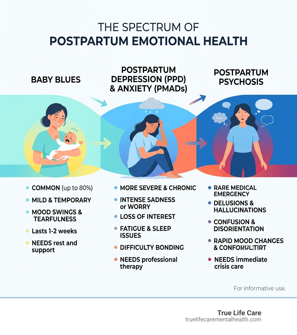 Infographic showing spectrum of postpartum emotional health from baby blues to PPD to postpartum psychosis - Postpartum