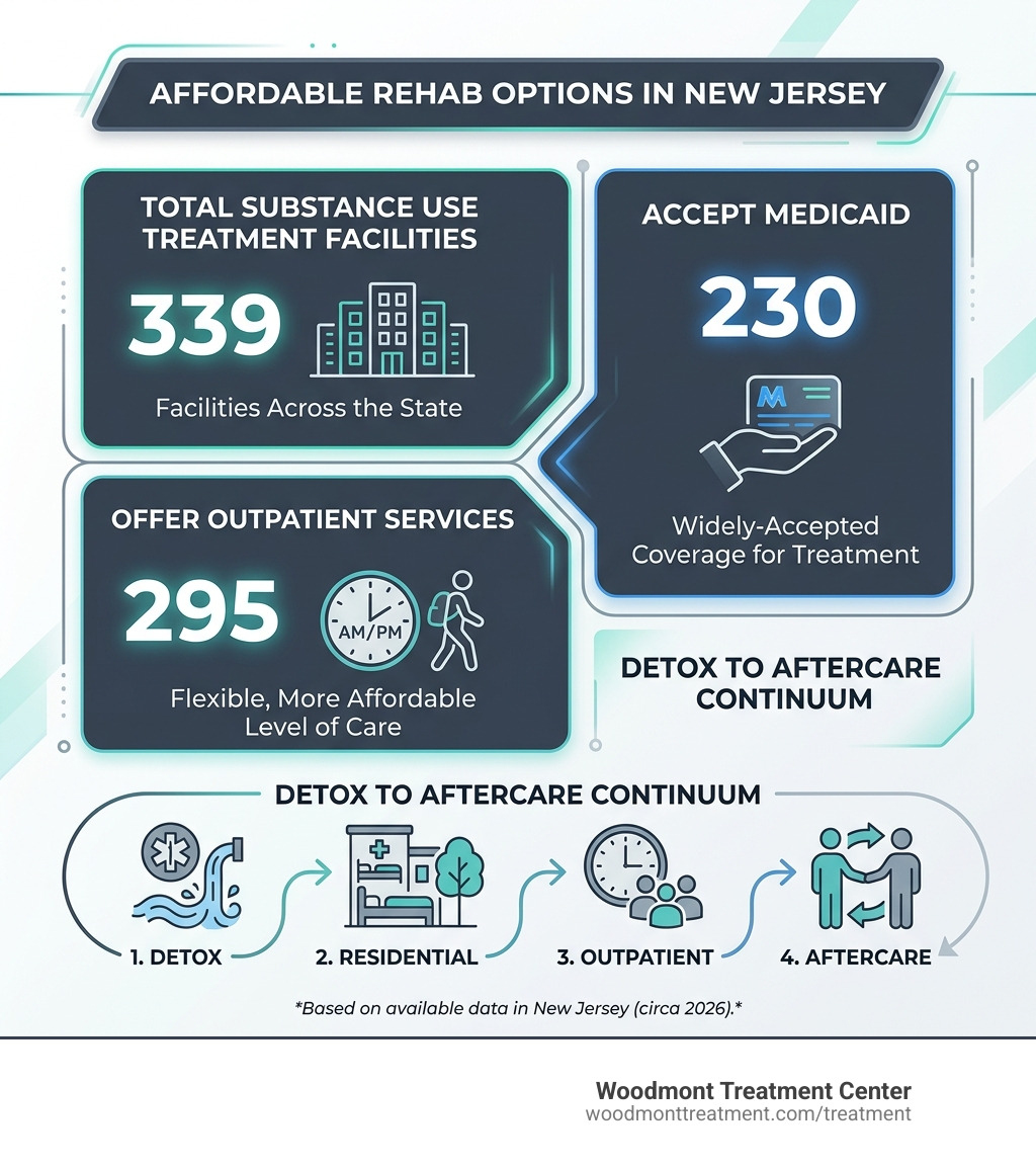 Infographic showing NJ affordable rehab options: 339 facilities, 230 accept Medicaid, 295 offer outpatient, detox to
