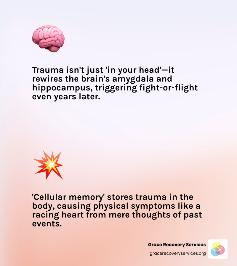Mind-body-spirit connection in trauma recovery infographic - Holistic rehab for trauma infographic