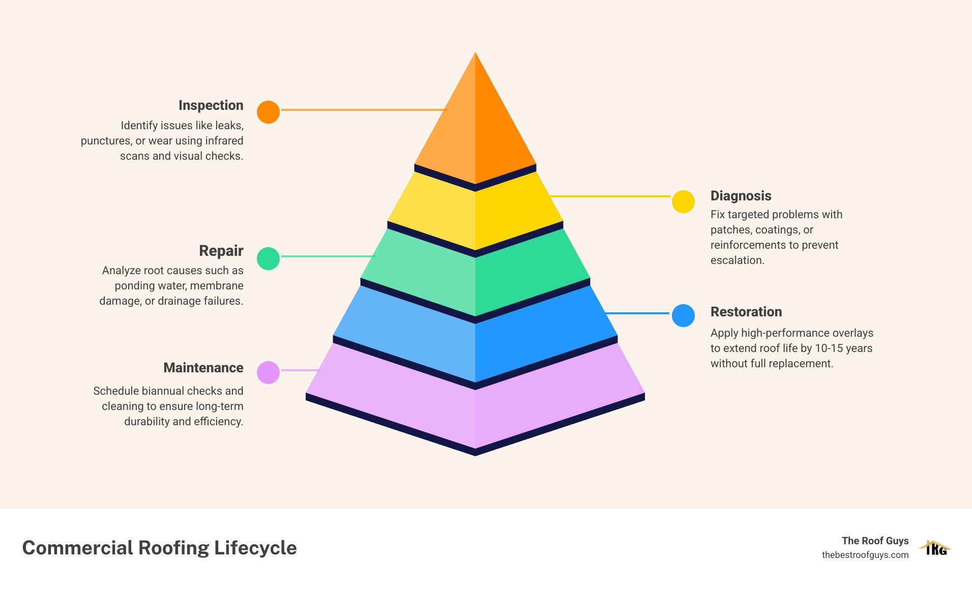 5-step commercial roofing lifecycle from inspection to restoration infographic - benton commercial roofer infographic 5-step commercial roofing lifecycle from inspection to restoration infographic - benton commercial roofer infographic
