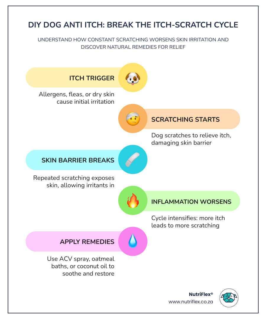 Diy Dog Anti Itch Remedies Infographic Showing Itch-Scratch Cycle And Top Natural Relief Options - Diy Dog Anti Itch Diy Dog Anti Itch Remedies Infographic Showing Itch-Scratch Cycle And Top Natural Relief Options - Diy Dog Anti Itch