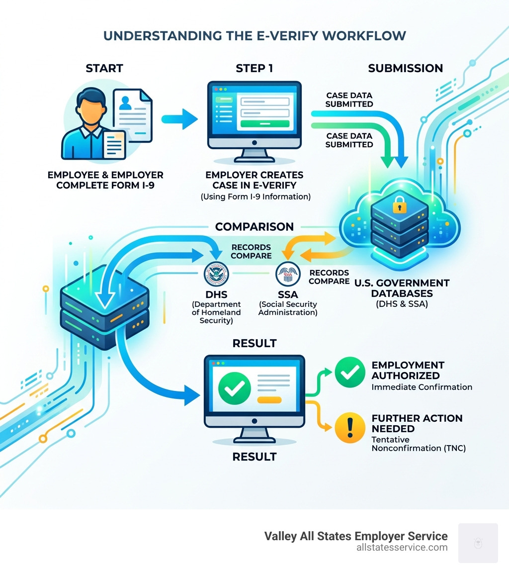 E-Verify workflow infographic showing Form I-9 to DHS and SSA record check to Employment Authorized result - e-verify