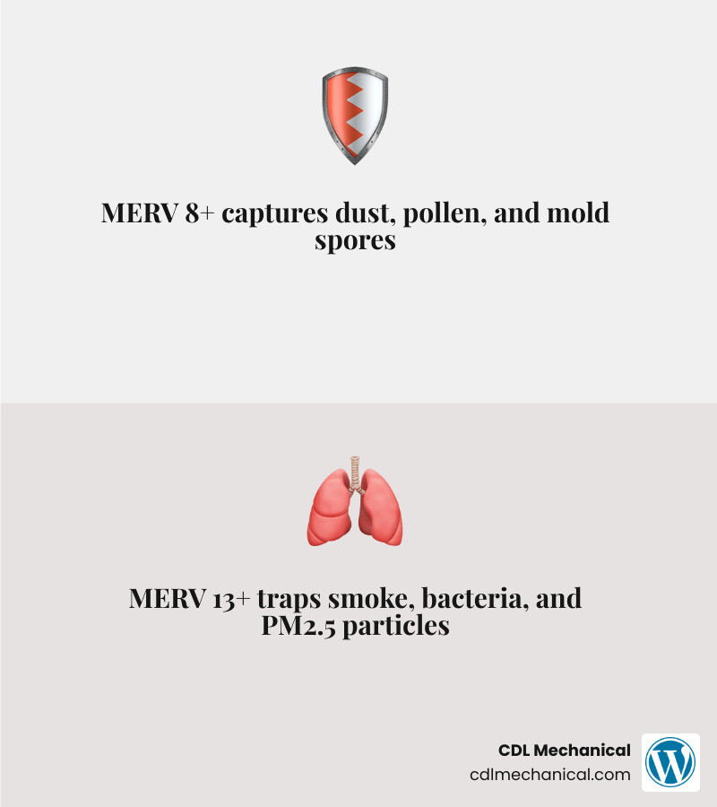 Infographic showing MERV rating scale and what each level filters in a home HVAC system - best air filter for your home Infographic showing MERV rating scale and what each level filters in a home HVAC system - best air filter for your home