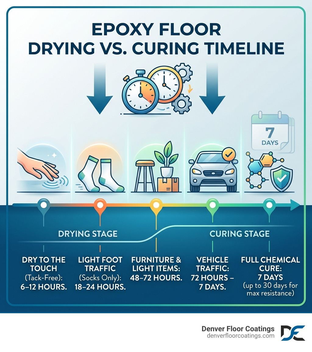 Epoxy floor drying vs curing timeline infographic with stages and timeframes - how long does it take for epoxy floors to dry