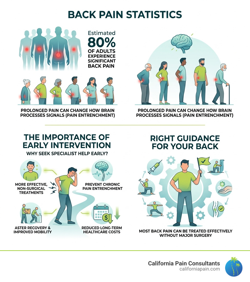 back pain statistics and the importance of early intervention - back pain experts infographic back pain statistics and the importance of early intervention - back pain experts infographic