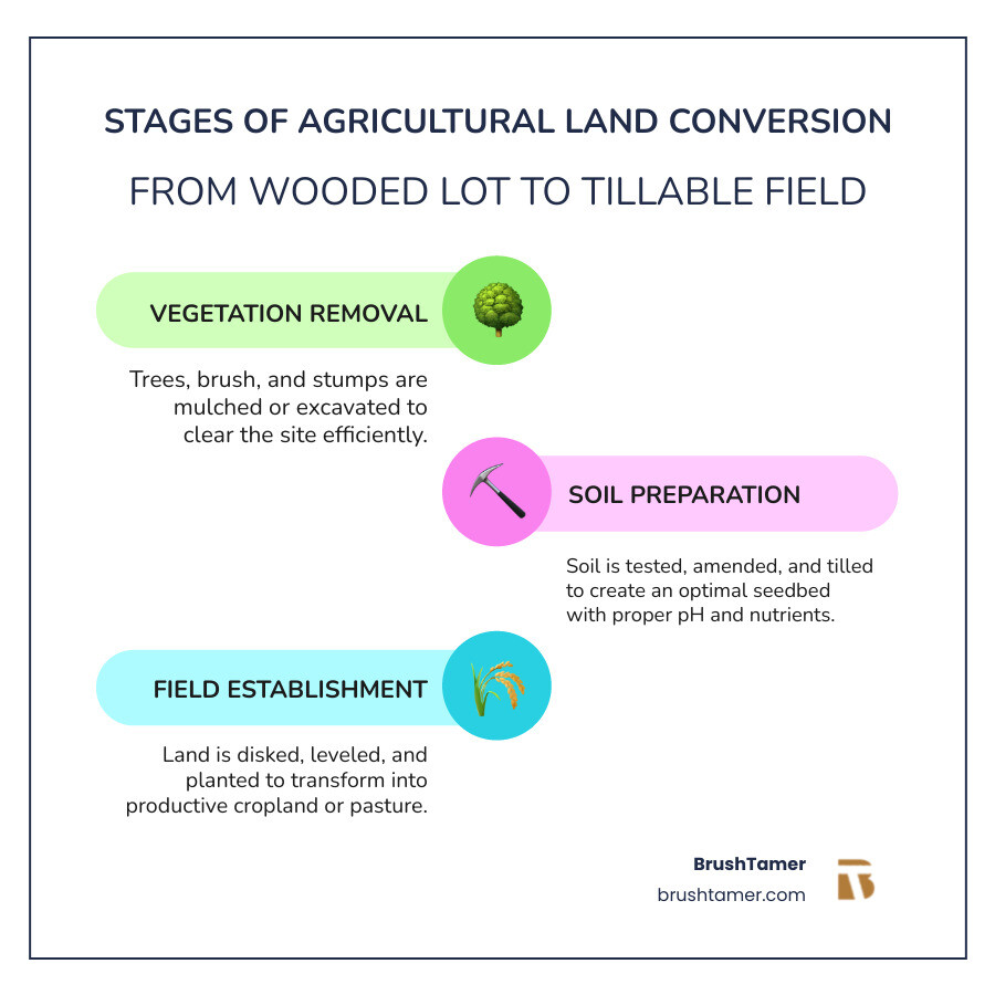 Stages of agricultural land conversion from wooded lot to tillable field - land clearing for agriculture infographic