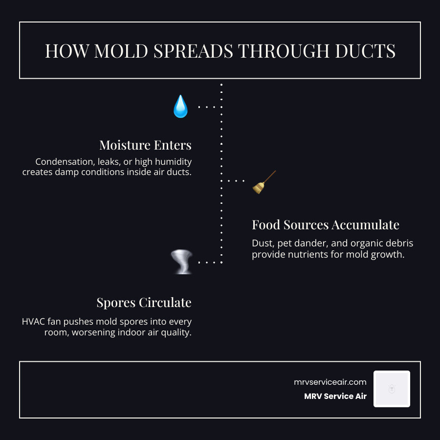 Infographic showing how mold spreads through residential ductwork steps from moisture entry to spore circulation - how clean Infographic showing how mold spreads through residential ductwork steps from moisture entry to spore circulation - how clean