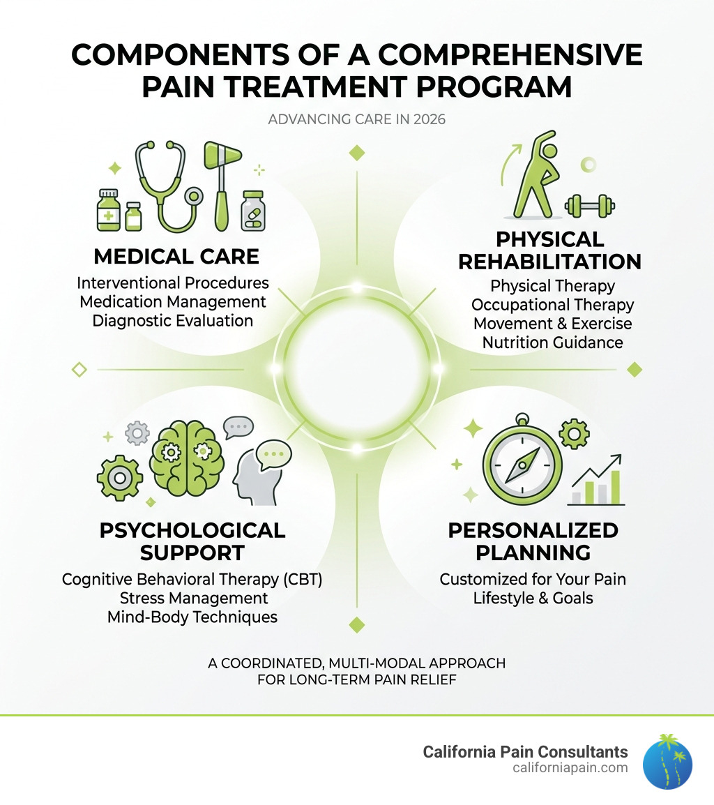 Components of a comprehensive pain treatment program infographic - Comprehensive pain treatment infographic 
