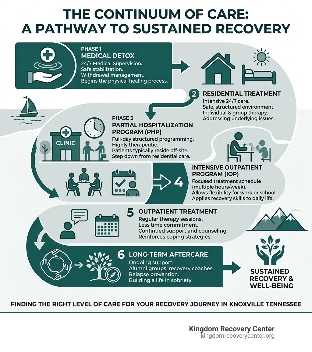 Infographic showing the continuum of care from medical detox through residential treatment, PHP, IOP, outpatient, and