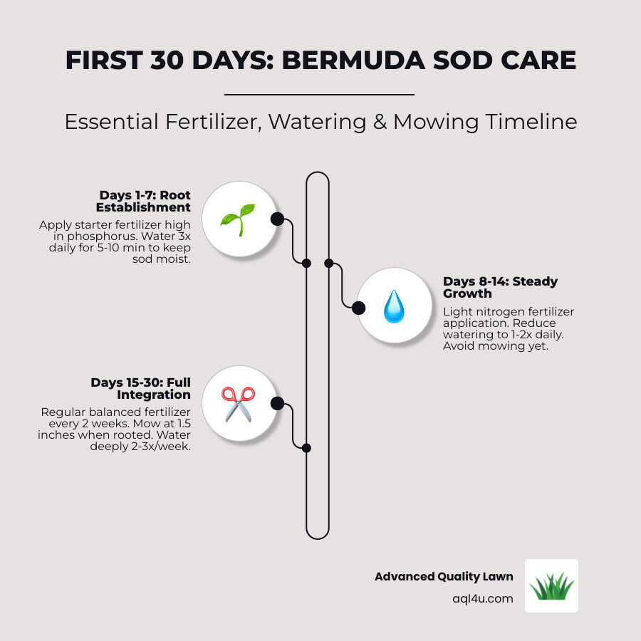 Infographic: First 30 days of new Bermuda sod care including fertilizer timing, watering schedule, and mowing milestones