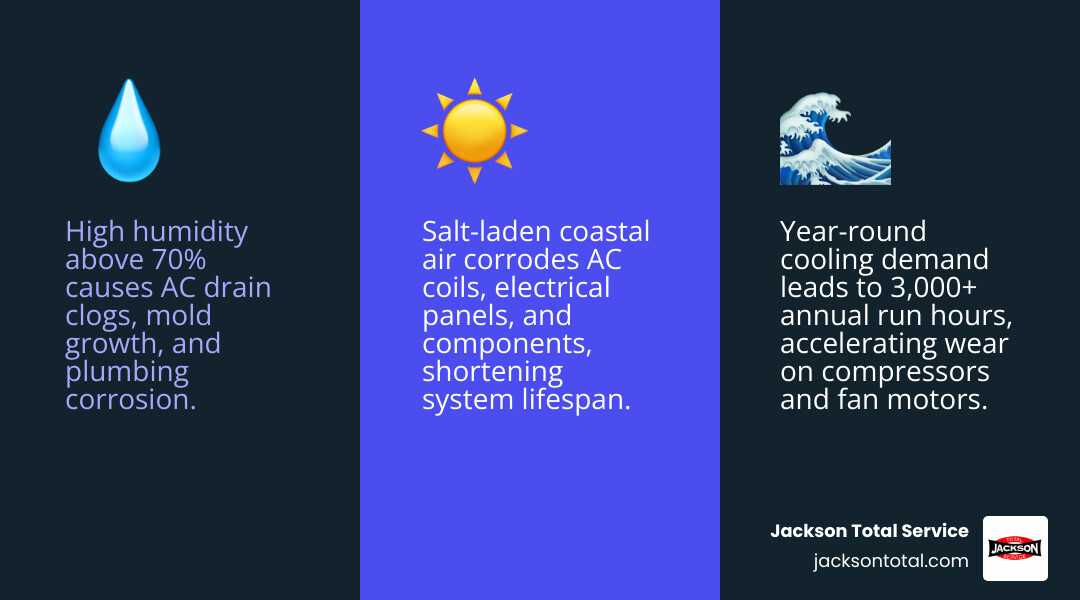 Infographic showing how Southwest Florida climate stressors impact AC, plumbing, and electrical systems year-round - how Infographic showing how Southwest Florida climate stressors impact AC, plumbing, and electrical systems year-round - how