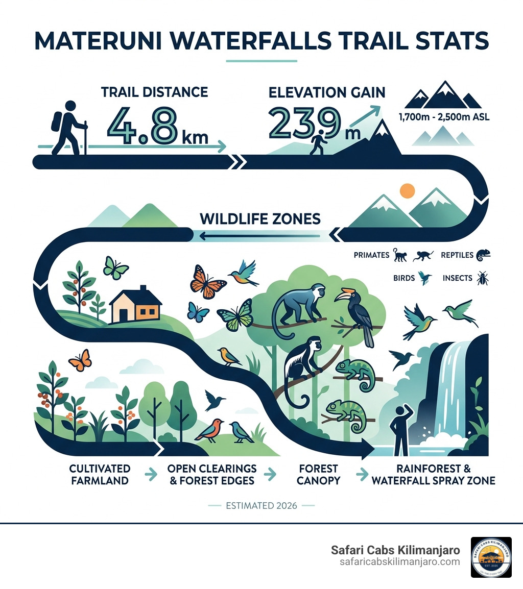 Trail stats infographic: 4.8km distance, 239m elevation gain, wildlife zones from farm to rainforest - materuni waterfalls Trail stats infographic: 4.8km distance, 239m elevation gain, wildlife zones from farm to rainforest - materuni waterfalls