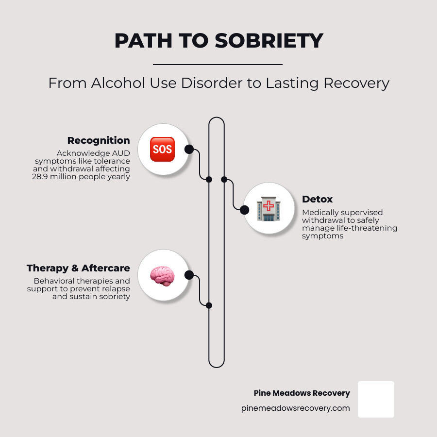 Infographic showing the path from alcohol use disorder to sobriety: recognition, detox, therapy, aftercare, long-term Infographic showing the path from alcohol use disorder to sobriety: recognition, detox, therapy, aftercare, long-term