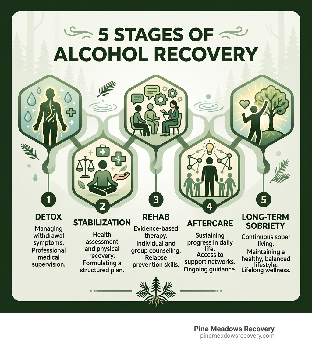 Infographic showing 5 stages of alcohol recovery: detox, stabilization, rehab, aftercare, long-term sobriety - wisconsin Infographic showing 5 stages of alcohol recovery: detox, stabilization, rehab, aftercare, long-term sobriety - wisconsin