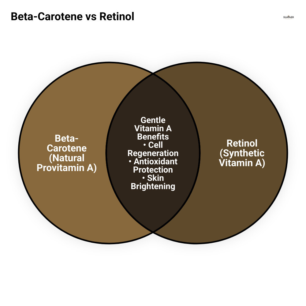 Infographic showing beta-carotene to vitamin A conversion in skin cells and key brightening benefits - beta carotene