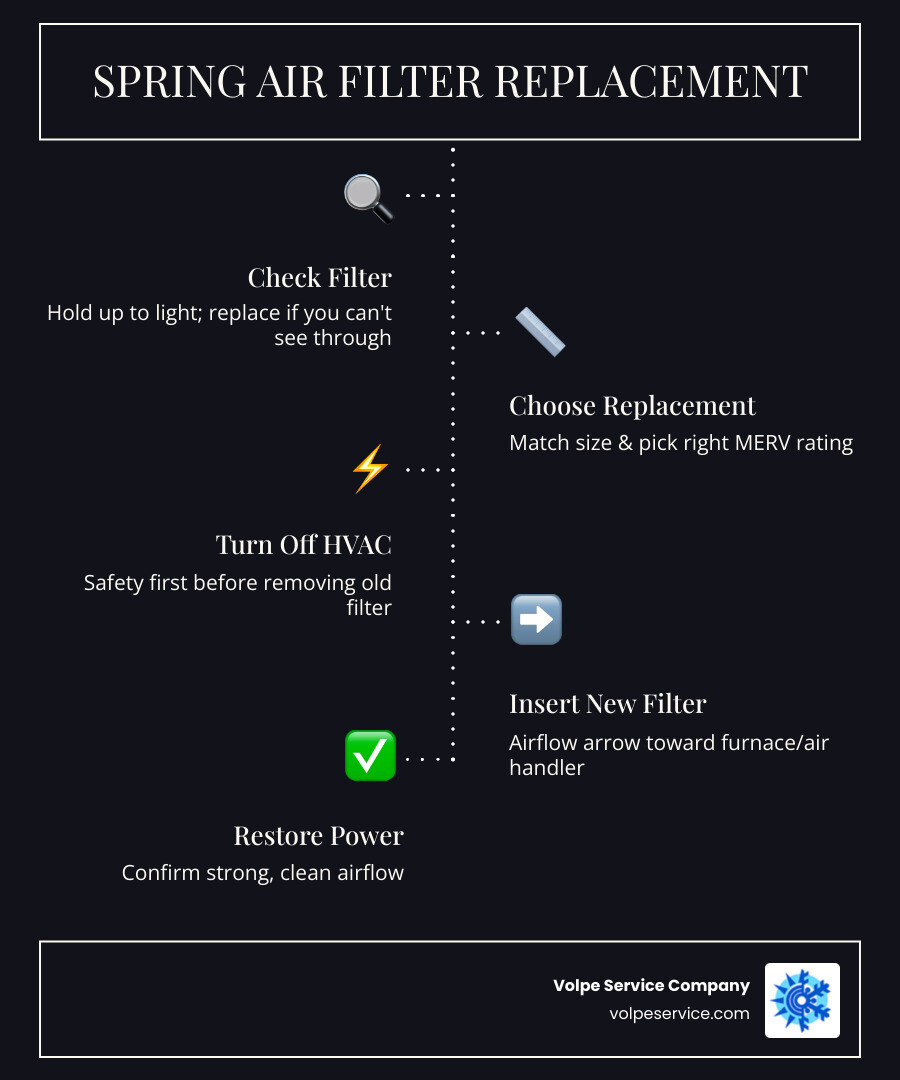 Infographic showing spring air filter replacement steps, filter types, and replacement frequency for home and car - spring Infographic showing spring air filter replacement steps, filter types, and replacement frequency for home and car - spring