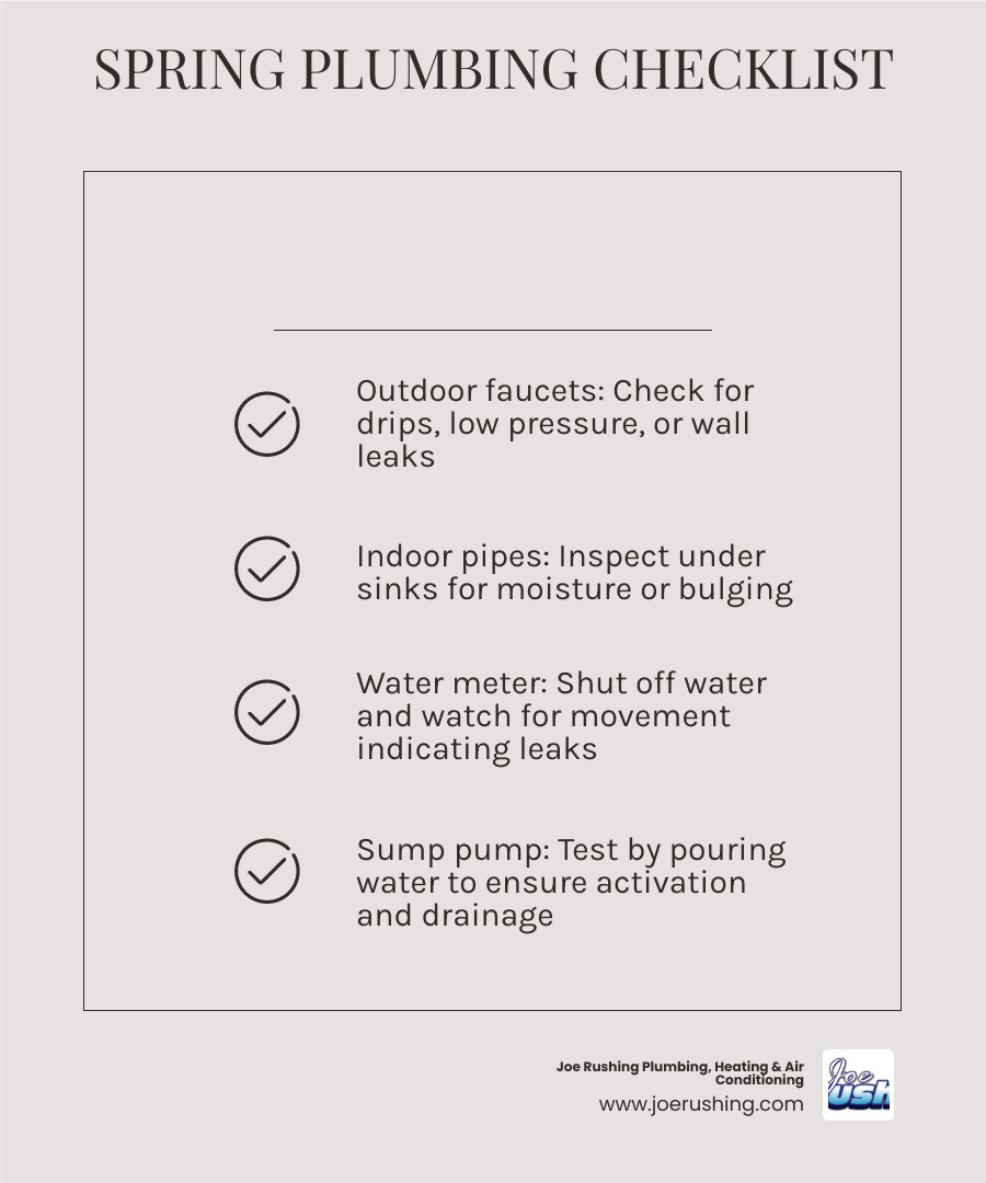 Spring plumbing inspection checklist infographic showing 7 key areas to check after a winter cold snap - spring plumbing