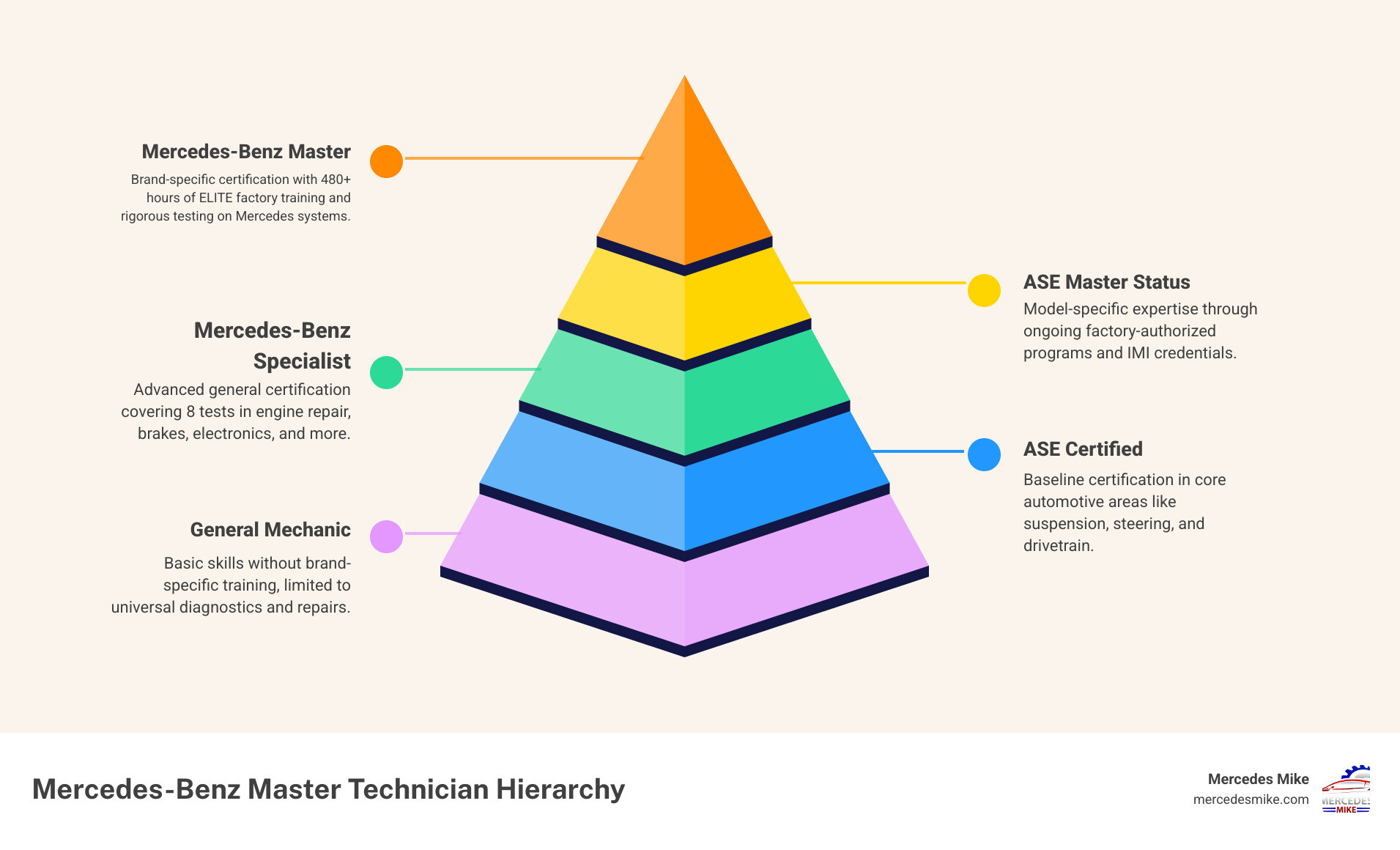 Comparison table: General ASE Mechanics vs. Mercedes-Benz Master Technicians - certified mercedes-benz mechanic infographic