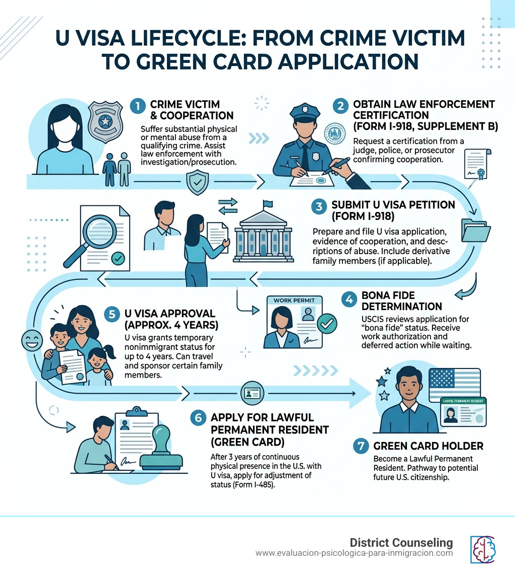 U visa lifecycle infographic from crime victim to Green Card application - uscis u visa infographic 